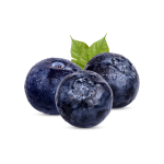 blueberry_anasayfa